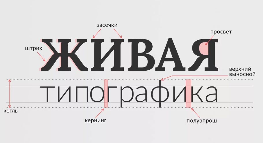 Набор начертаний одного шрифта различающийся по общему стилевому рисунку и другим параметрам